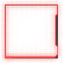 AI Frame